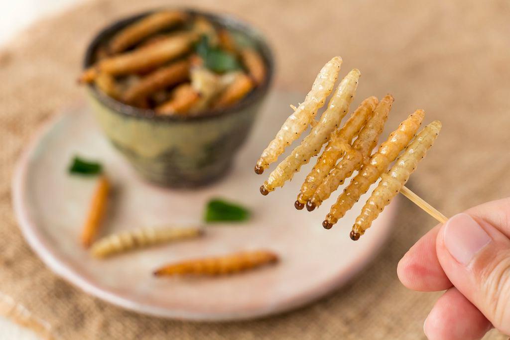 Самые экстремальные и отвратительные продукты в мире