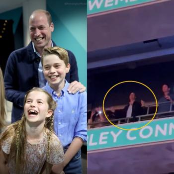 Принц Уильям потерял контроль над собой на концерте Тейлор Свифт. Видео стало хитом в Интернете