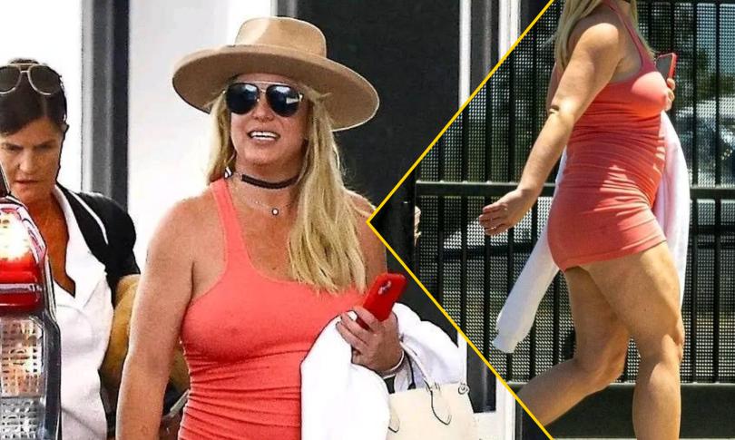 Давно потерявшуюся Бритни Спирс «поймали» в аэропорту Давно потерявшуюся Бритни Спирс «поймали» в аэропорту