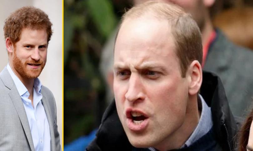 Принц Уильям не хочет возвращения Гарри