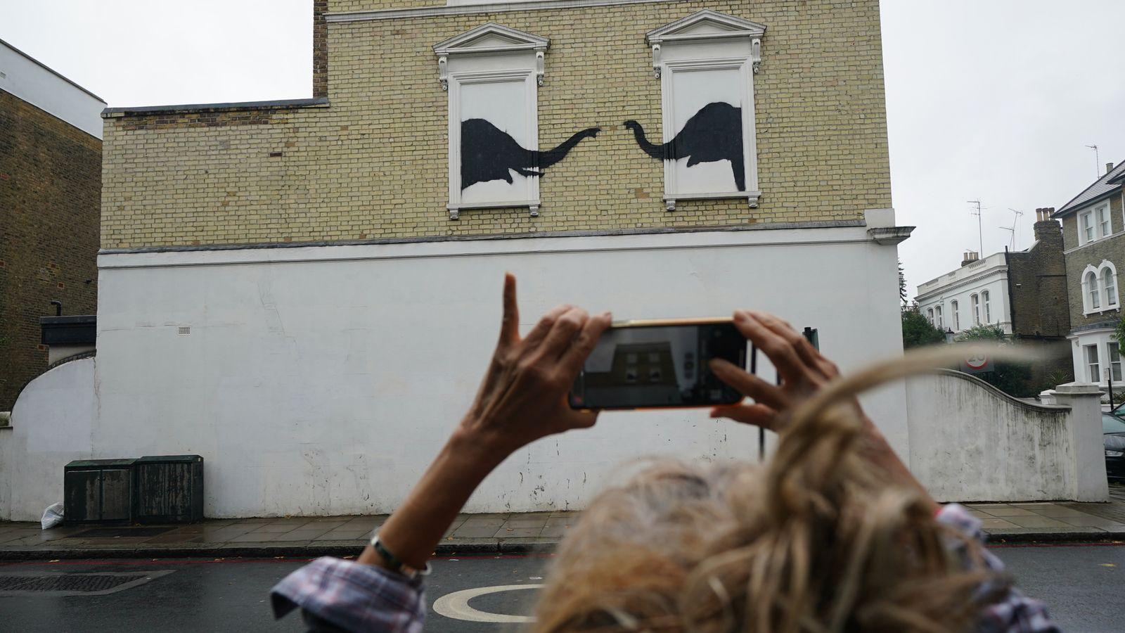 Произведение искусства Бэнкси с изображением животного было украдено Произведение искусства Бэнкси с изображением животного было украдено