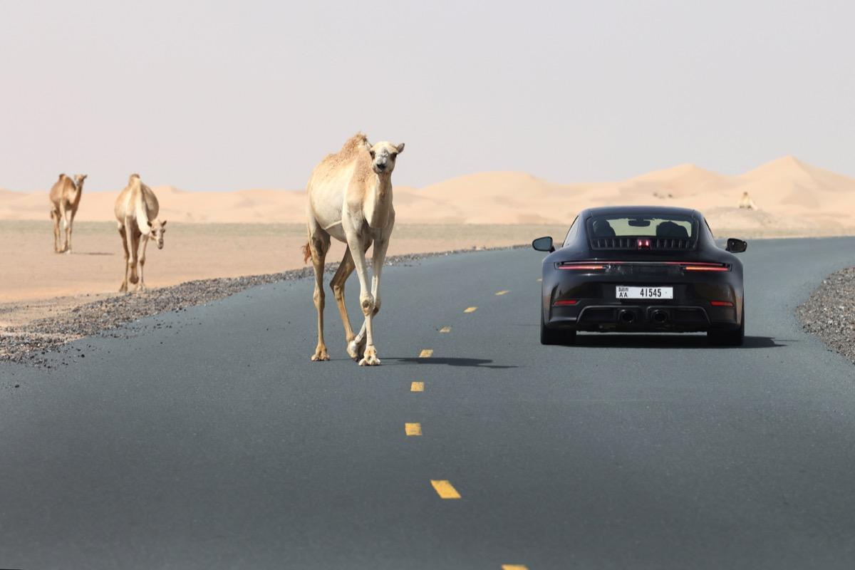 Гибрид Porsche 911