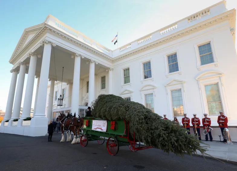 Мелания Трамп получила свою рождественскую елку