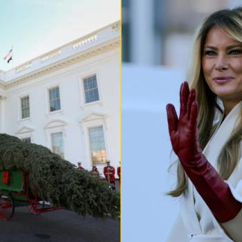 Мелания Трамп, украшенная бирками, получила свою рождественскую ёлку. Помните её знаменитые слова о праздниках? «Кому какое дело до всей этой ерунды»