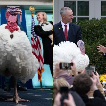 Дональд Трамп помиловал двух индюков. Его лица вызывают восторг