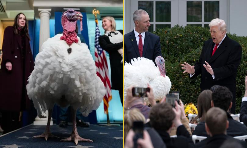 Дональд Трамп помиловал двух индюков