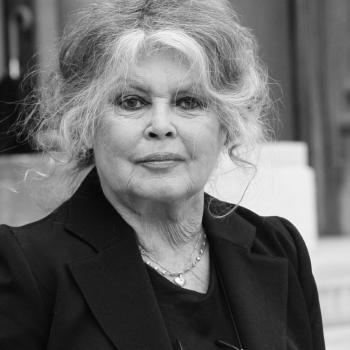 Причина смерти Брижит Бардо: «Вот тогда всё и закончилось»