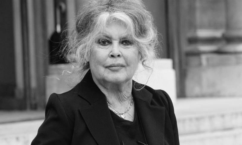 Брижит Бардо