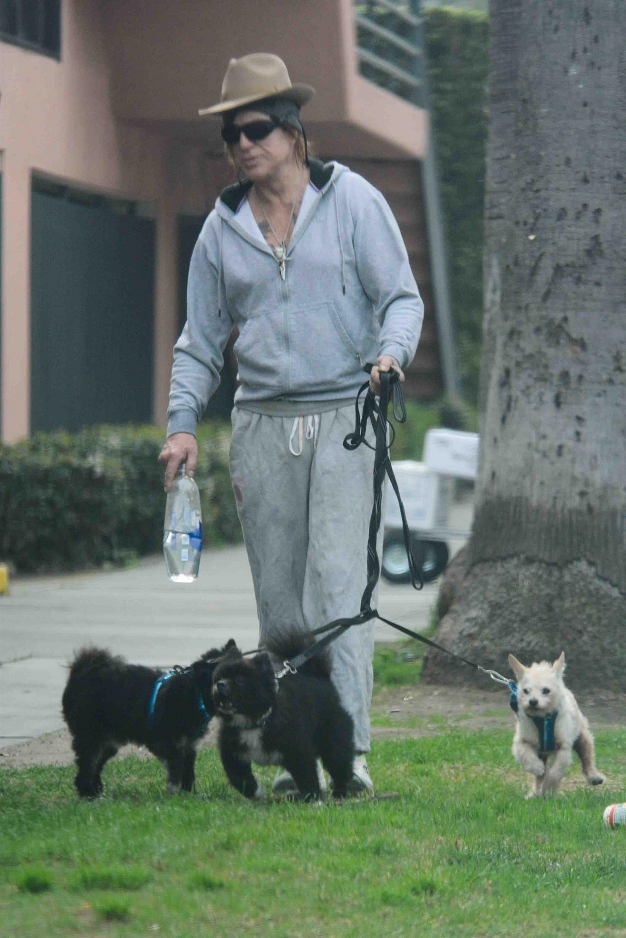 Решение было вынесено заочно, а это значит, что Руорк, вероятно, не ответил на иск. На фотографии он запечатлен со своими собаками в январе.  