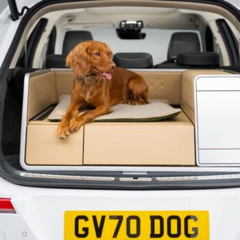 Вашей собаке понравится эта машина. Она залезла бы внутрь и полежала на углеродном волокне