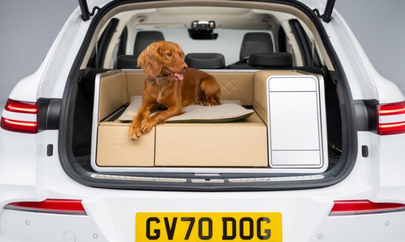 X Dog — багажник