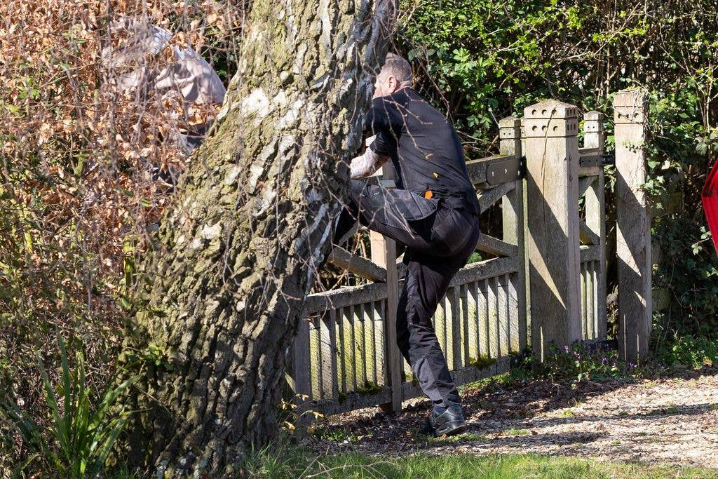 Один из протестующих перелезает через ворота возле фермы Марш в поместье Сандрингем