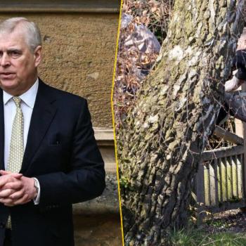 Протест у нового дома принца Эндрю в Сандрингеме стал поводом для тревоги