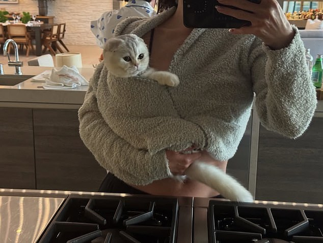 Кайли Дженнер раскритиковали из-за фото с кошкой на блестящем поводке Кайли Дженнер раскритиковали из-за фото с кошкой на блестящем поводке