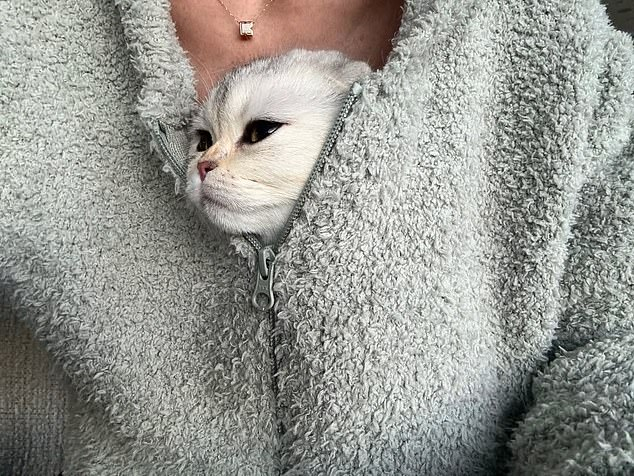 Кайли Дженнер раскритиковали из-за фото с кошкой на блестящем поводке Кайли Дженнер раскритиковали из-за фото с кошкой на блестящем поводке