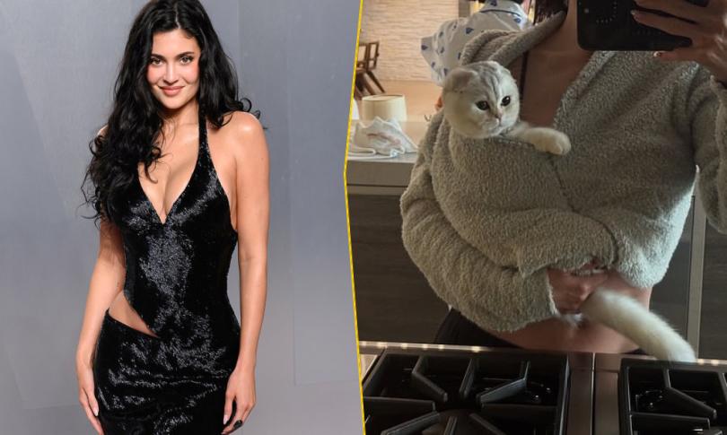 Кайли Дженнер раскритиковали из-за фото с кошкой на блестящем поводке Кайли Дженнер раскритиковали из-за фото с кошкой на блестящем поводке