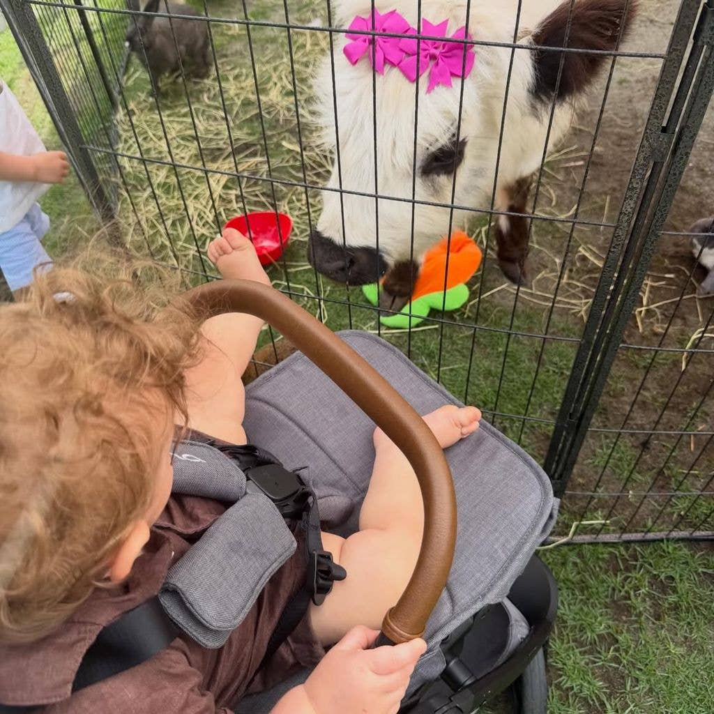 Тиффани Трамп показала редкие фото сына в его первую Пасху