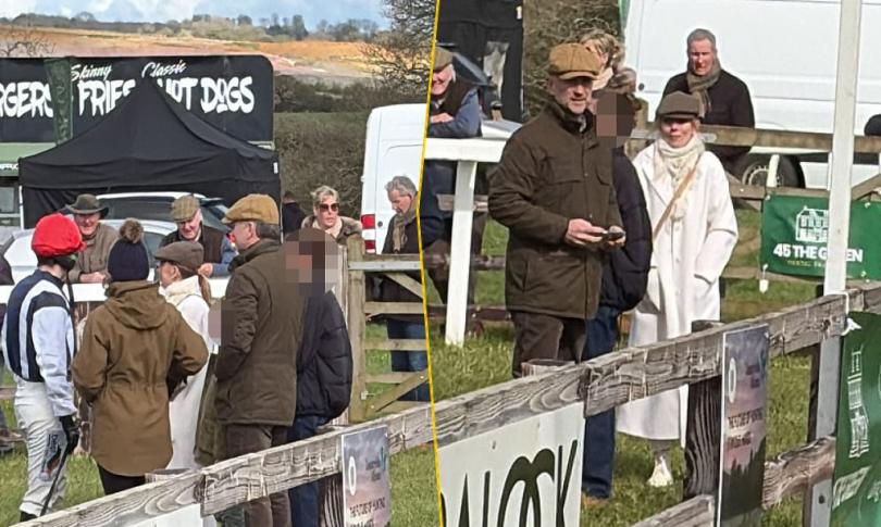 Джери Холливелл и Кристиан Хорнер вместе вышли в свет на скачках на фоне слухов о кризисе